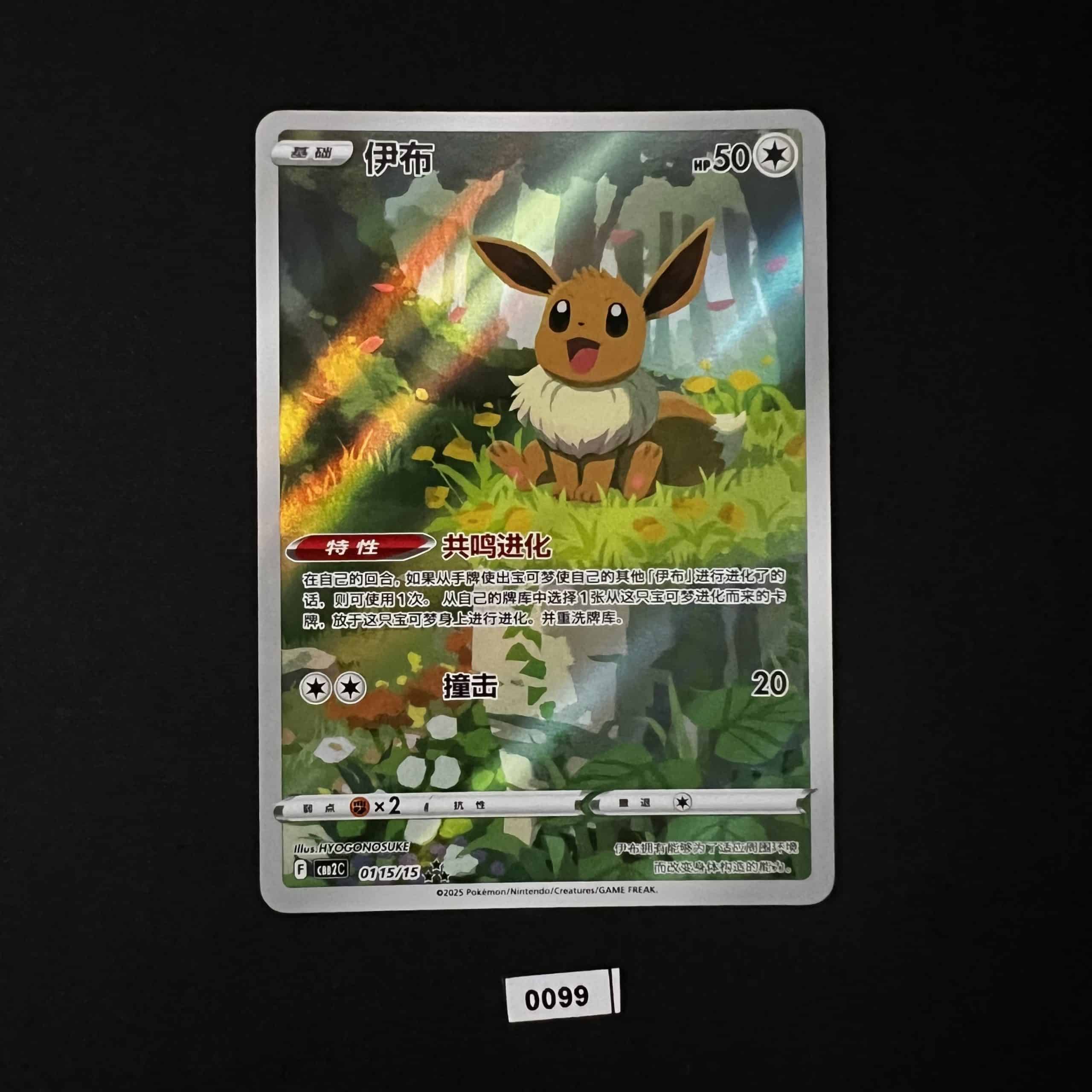 Eevee AR 01/15/15 #4